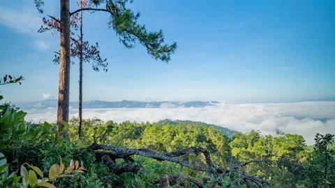 Ime lapse of people taking their pictures with morning fog on the mountains Stock Footage 227319745
