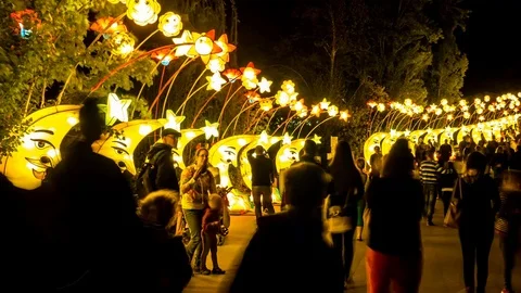 Ime-lapse view on People visiting a lights festival in Budapest in Hungary Stock Footage 78142983