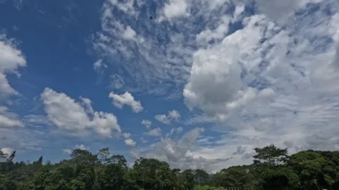 Imelapse of fluffy white clouds above the trees during the day Video stock 307411099