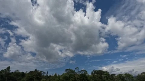 Imelapse of fluffy white clouds above the trees during the day 動画素材 307411102