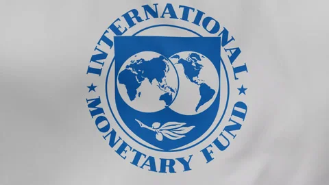 IMF cloth flag background loop Stock Footage 247018684