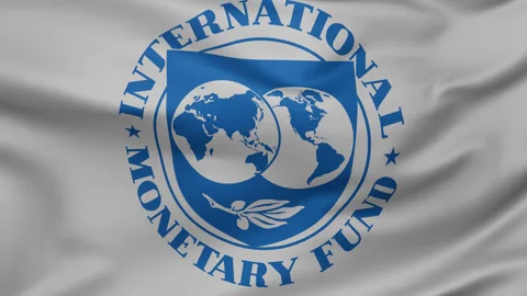 IMF cloth flag background loop Stock Footage 265072851
