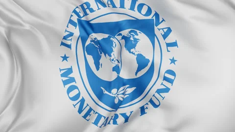 IMF cloth flag background loop Stock Footage 310849568
