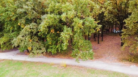 IMG 0023 Stock Footage 203838016