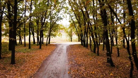 IMG 0026 Stock Footage 203853262
