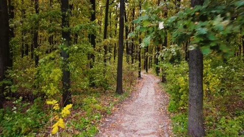 IMG 0030 Stock Footage 203853365