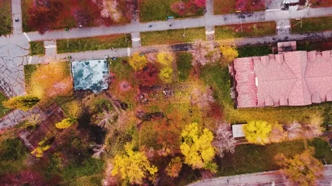 IMG 0037 Stock Footage 203853401