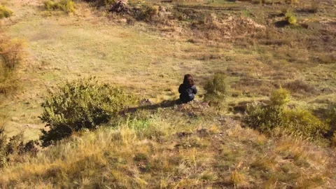 IMG 0048 Stock Footage 203853442