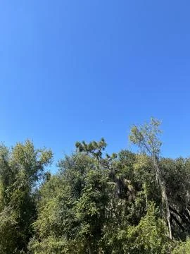 IMG 0050 库存照片