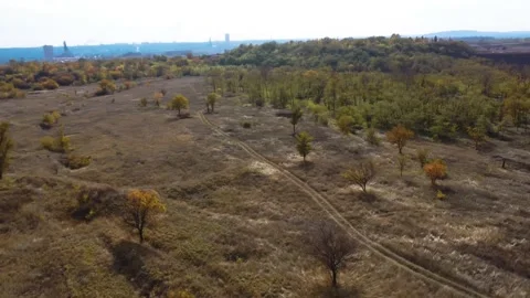 IMG 0051 Stock Footage 203853450