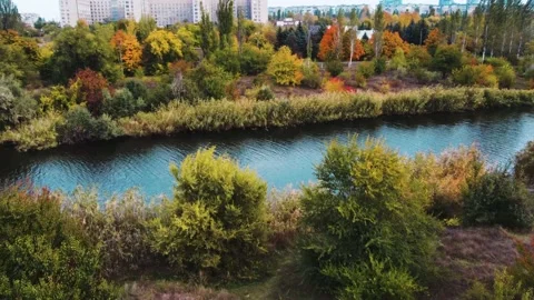 IMG 0056 Stock Footage 203853562