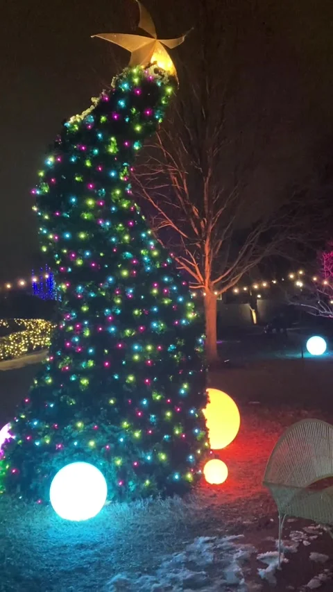 IMG 0074 Stock Footage 281304630