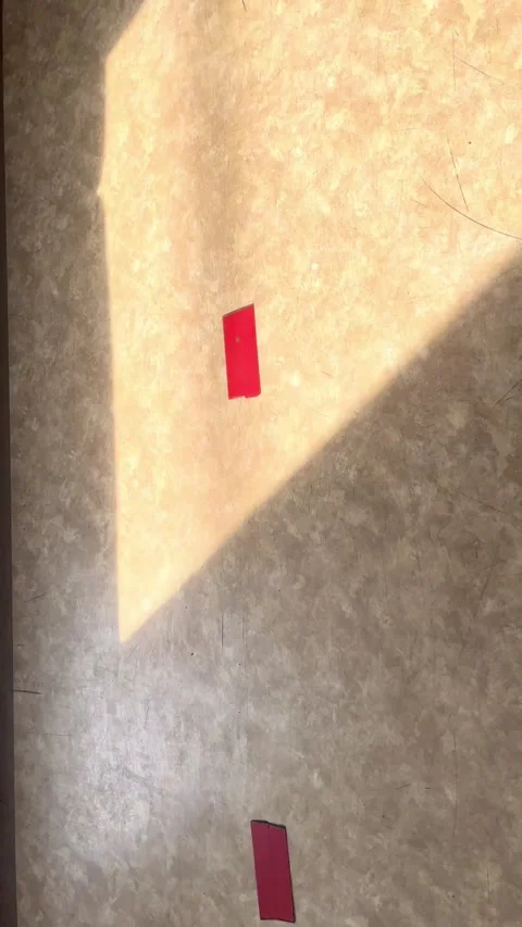 IMG 0082 Stock Footage 207372824