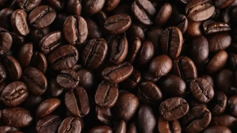 IMG 0124 Stock Footage 166532520