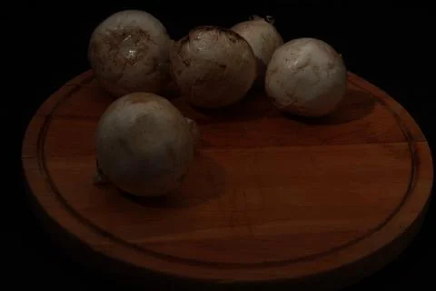 IMG 0124 스톡 사진