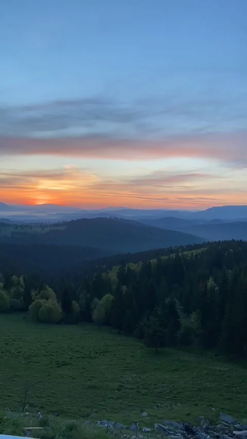 IMG 0150 Stock Footage 225777971