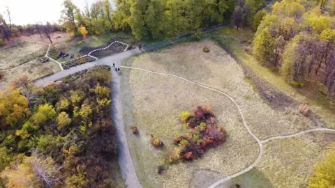 IMG 0174 Stock Footage 203906830