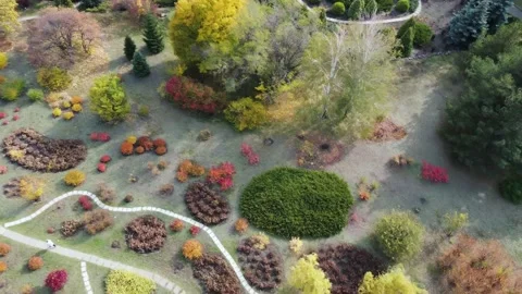 IMG 0177 Stock Footage 203906790