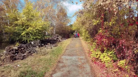 IMG 0184 Stock Footage 203906858