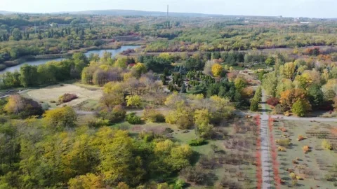 IMG 0185 Stock Footage 203906933