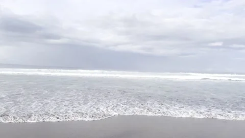 IMG 0257 動画素材 208908053