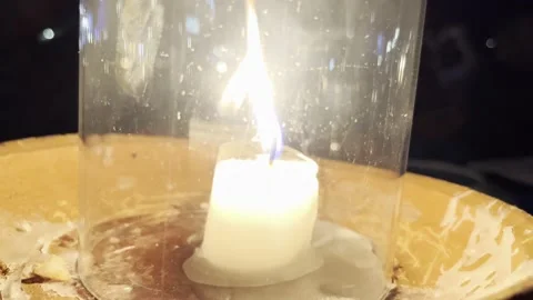 IMG 0261 Stock Footage 208907674