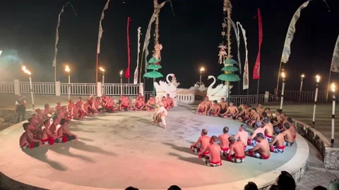 IMG 0262 動画素材 208907577