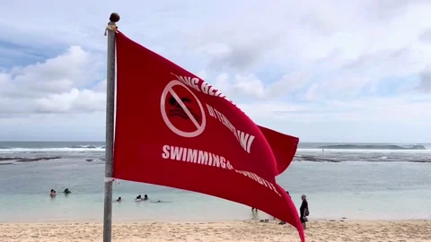 IMG 0267 Stock Footage 208906950