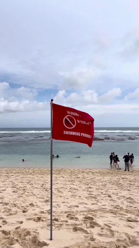 IMG 0268 動画素材 208906943