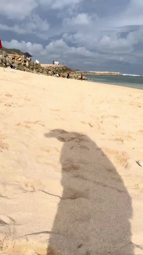 IMG 0272 動画素材 208905260