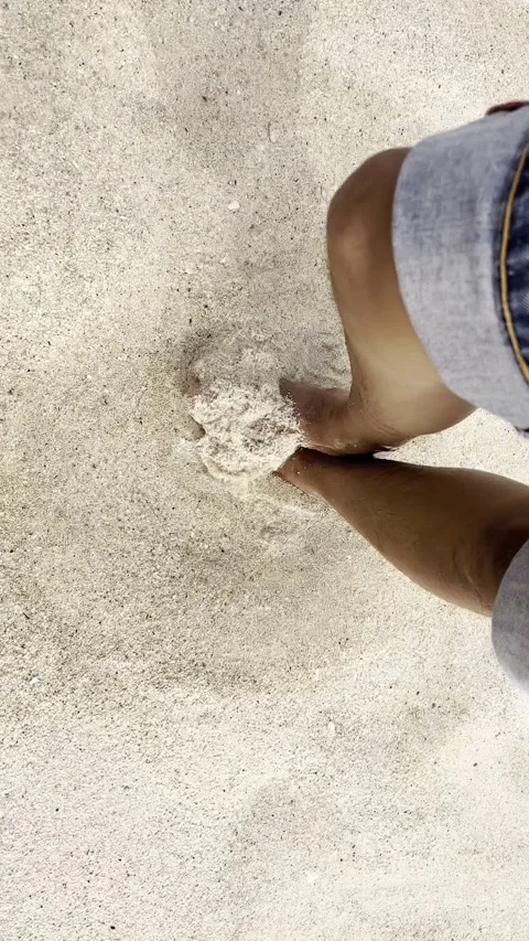 IMG 0273 動画素材 208906606