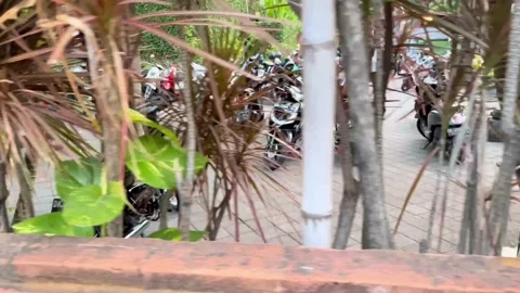 IMG 0280 動画素材 208903119