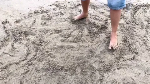 IMG 0281 動画素材 208829174