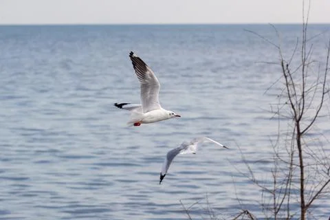 IMG 0359 Stock-Fotos