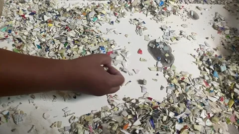 IMG 0500 Stock Footage 319886796