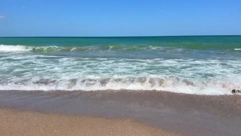 IMG 0655 Stock Footage 340961208