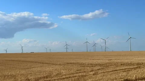 IMG 0670 Stock Footage 340961213