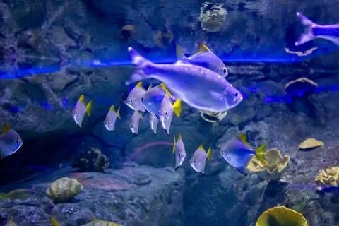 IMG 0804 Stock Photos