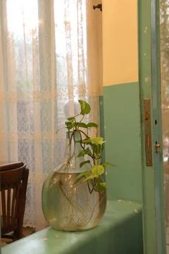 IMG 0819 Stock Photos