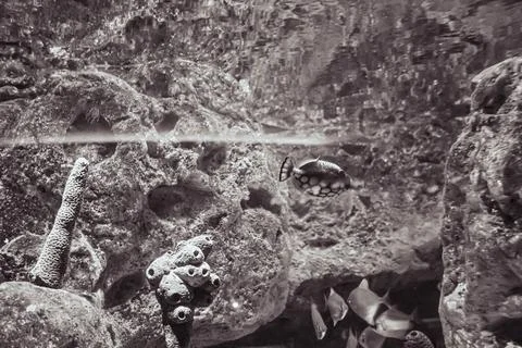 IMG 0840 Stock Photos