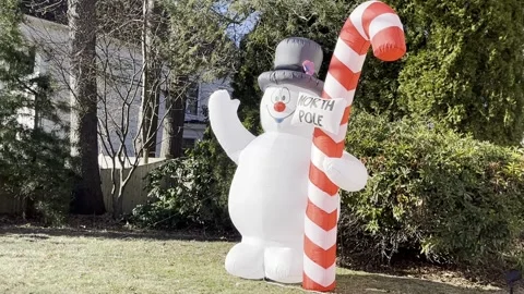 IMG 0968 Stock Footage 228621339