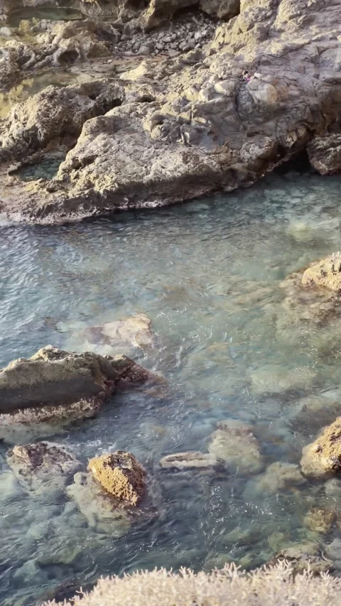 IMG 1174 Stock Footage 326640796