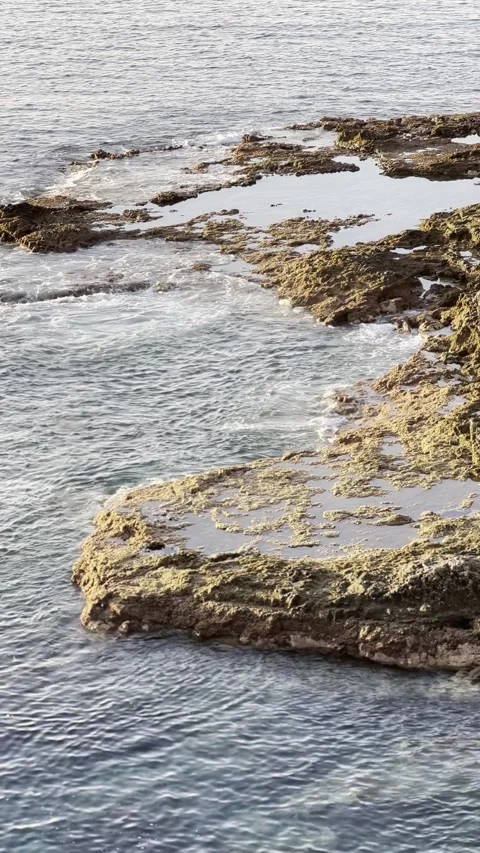 IMG 1175 Stock Footage 326640806