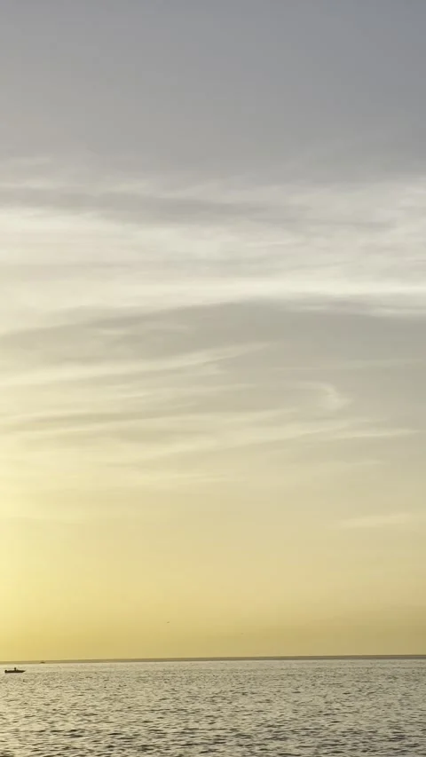 IMG 1177 Stock Footage 326640805