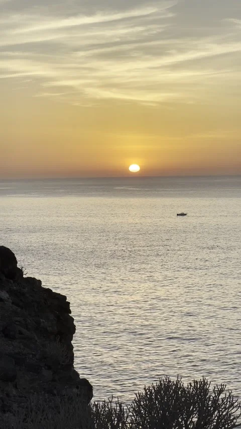 IMG 1179 Stock Footage 326640810