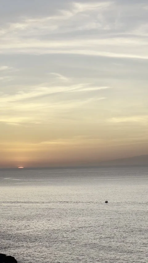 IMG 1181 Stock Footage 326640835