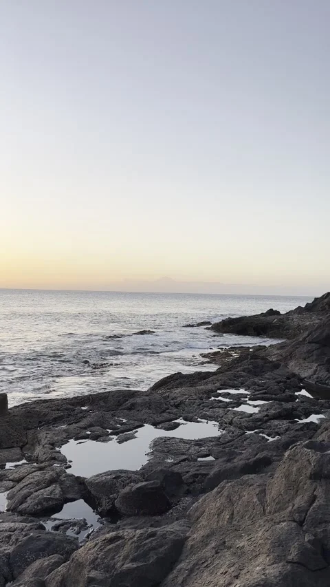 IMG 1308 Stock Footage 326640872