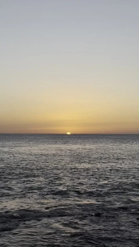 IMG 1312 Stock Footage 326640873