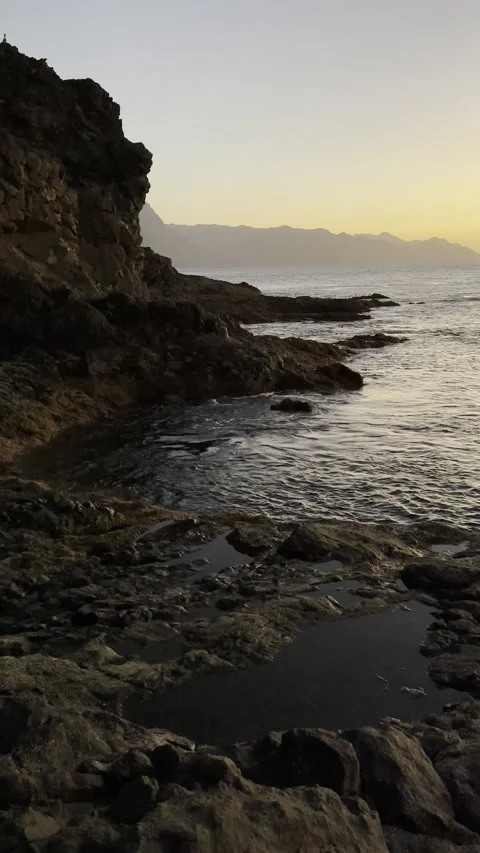 IMG 1318 Stock Footage 326640883