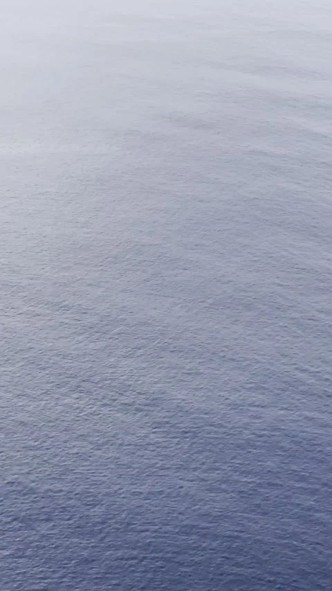 IMG 1347 Stock Footage 326640888